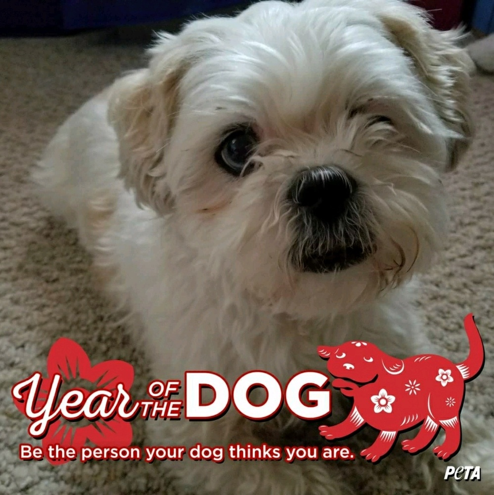 Meet your Posher, Gina